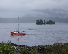 Tofino